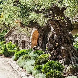 Domaine Les Mesanges 3*, Gassin France